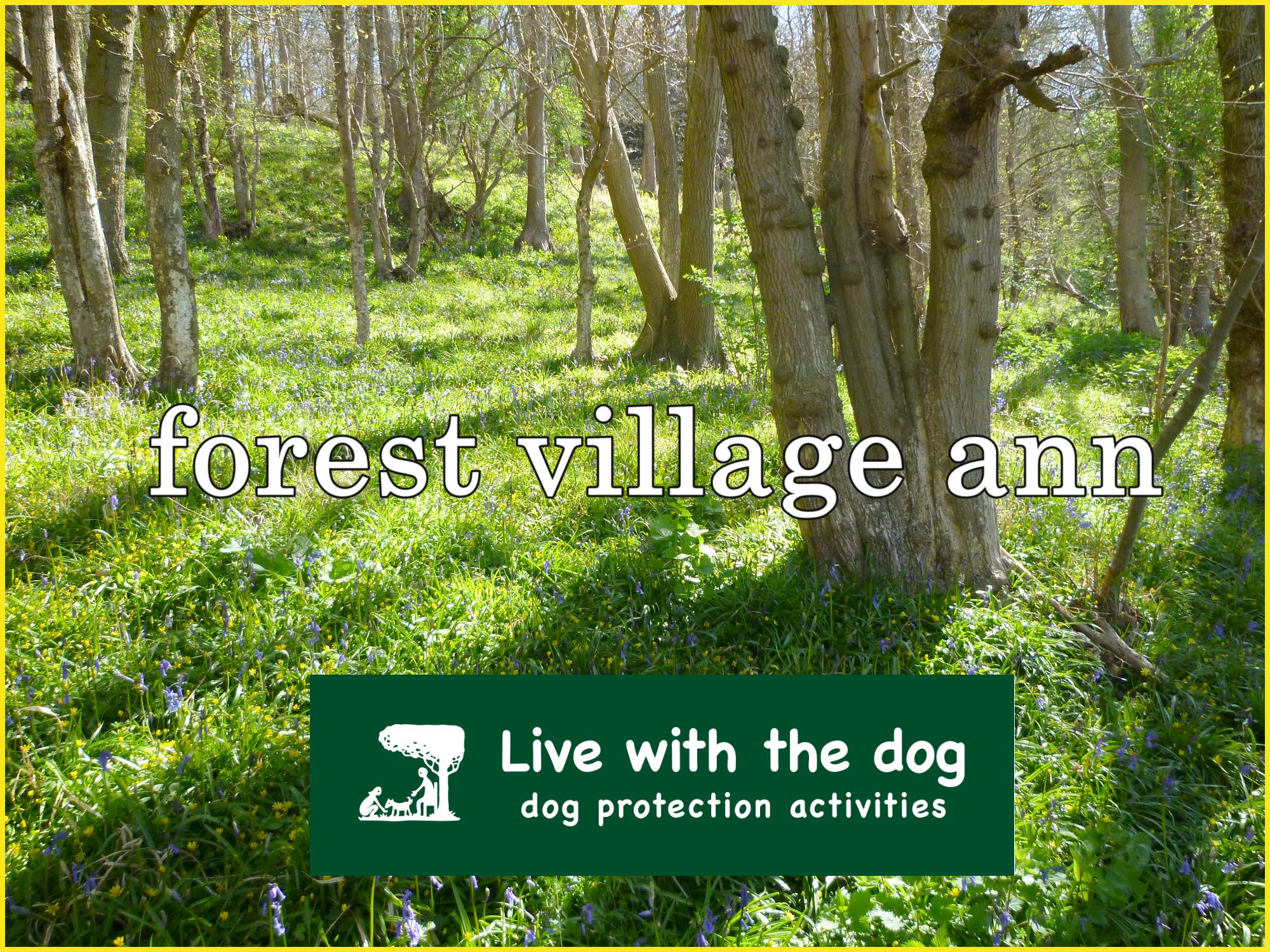 犬と泊まる宿|forest village ann